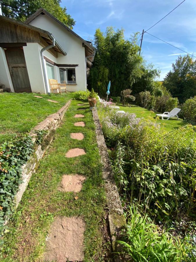 La Dependance De La Villa Des Oiseaux - La Petite Pierre Екстер'єр фото